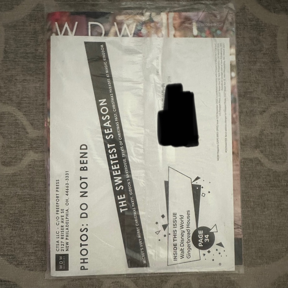 WDW  Magazine - The Sweetest Season Photo Collection - dec 2023